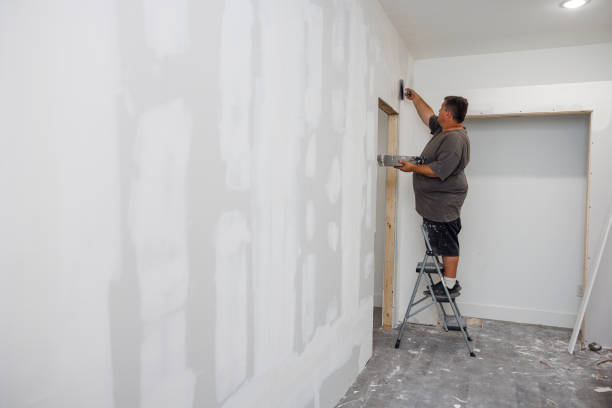 Professional Mold Removal in Briarcliff, TX
