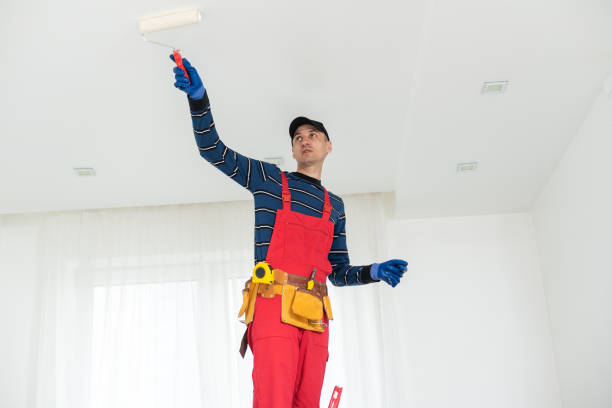 Best Mold Prevention Services  in Briarcliff, TX